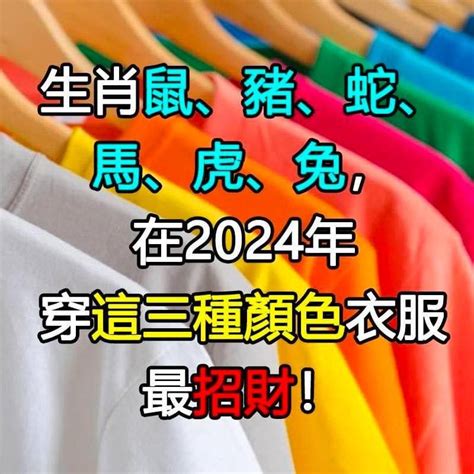 老鼠適合什麼顏色|【屬鼠顏色】2024年，屬鼠招運必備：開運顏色、風水指南